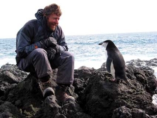 an inquisitive chinstrap penguin examines Gary