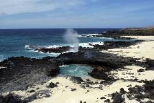 a jet of water spouts from a blowhole on the north coast