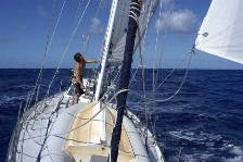 Gary shakes out the last reef on a brilliant blue tropical day