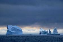 a few of the magnificent bergs on the south coast of South Georgia