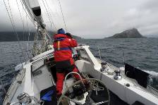 approaching Bird Sound