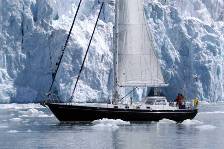 Wandering Albatross in front of a glacier