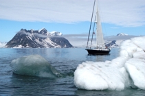 Wandering Albatross behind iceberg