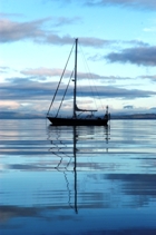 Wandering Albatross anchored under an amazing sky