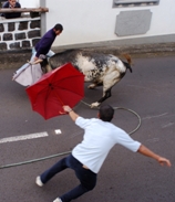 a Tourada on Sao Jorge