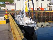 moored alongside the wall in a fishing port